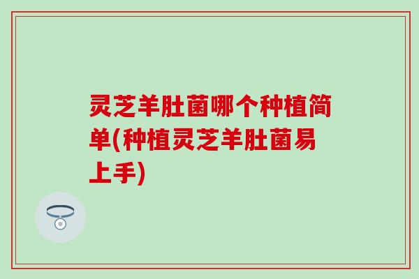 灵芝羊肚菌哪个种植简单(种植灵芝羊肚菌易上手)