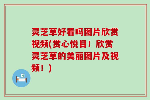 灵芝草好看吗图片欣赏视频(赏心悦目！欣赏灵芝草的美丽图片及视频！)