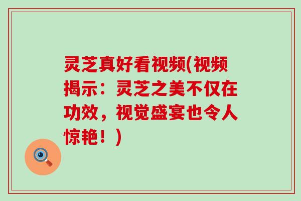 灵芝真好看视频(视频揭示：灵芝之美不仅在功效，视觉盛宴也令人惊艳！)