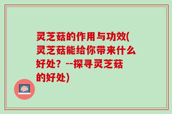 灵芝菇的作用与功效(灵芝菇能给你带来什么好处？--探寻灵芝菇的好处)