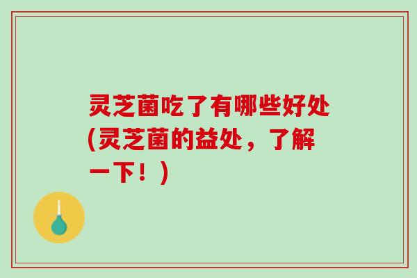 灵芝菌吃了有哪些好处(灵芝菌的益处，了解一下！)