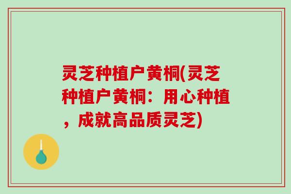 灵芝种植户黄桐(灵芝种植户黄桐：用心种植，成就高品质灵芝)