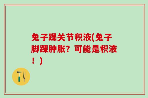 兔子踝关节积液(兔子脚踝肿胀？可能是积液！)