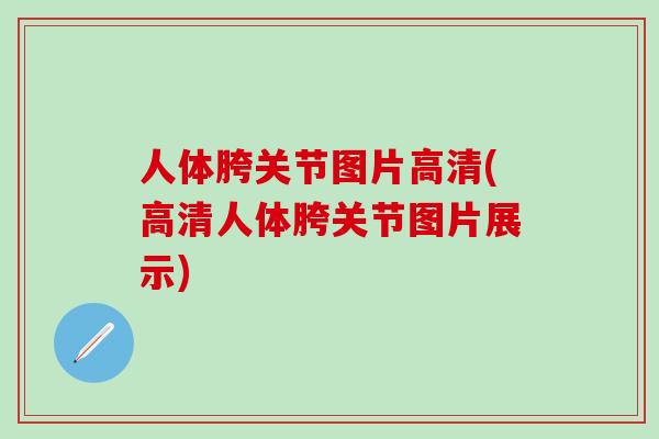 人体胯关节图片高清(高清人体胯关节图片展示)