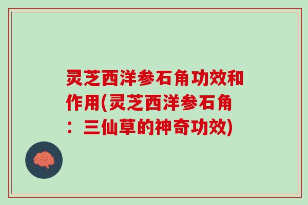 灵芝西洋参石角功效和作用(灵芝西洋参石角：三仙草的神奇功效)