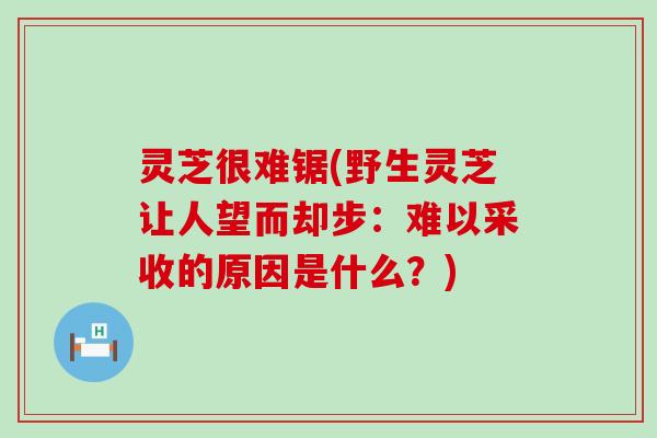 灵芝很难锯(野生灵芝让人望而却步：难以采收的原因是什么？)
