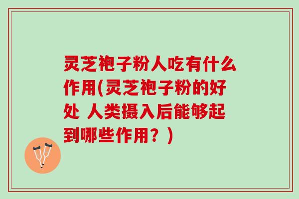 灵芝袍子粉人吃有什么作用(灵芝袍子粉的好处 人类摄入后能够起到哪些作用？)