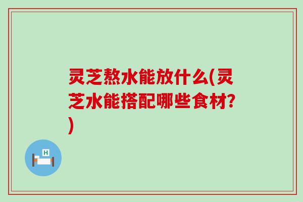 灵芝熬水能放什么(灵芝水能搭配哪些食材？)