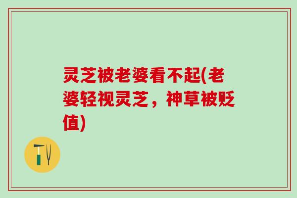 灵芝被老婆看不起(老婆轻视灵芝，神草被贬值)