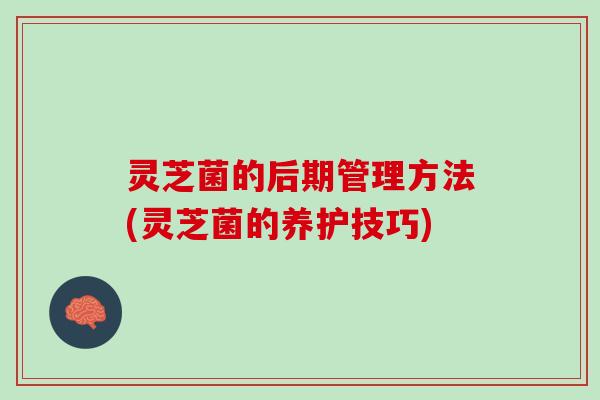 灵芝菌的后期管理方法(灵芝菌的养护技巧)