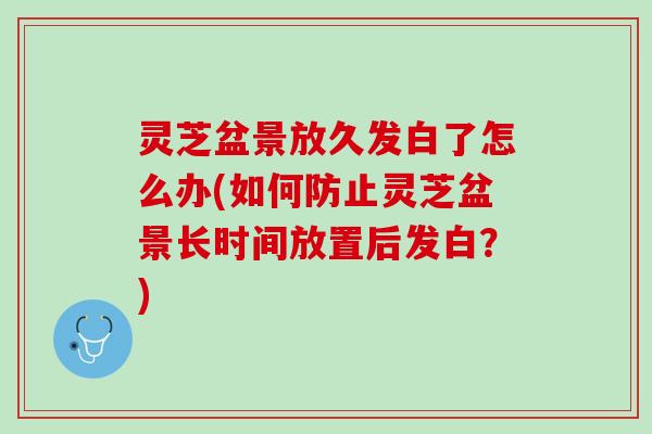 灵芝盆景放久发白了怎么办(如何防止灵芝盆景长时间放置后发白？)