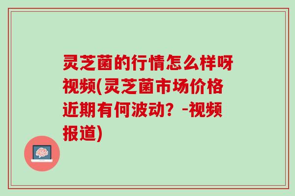灵芝菌的行情怎么样呀视频(灵芝菌市场价格近期有何波动？-视频报道)