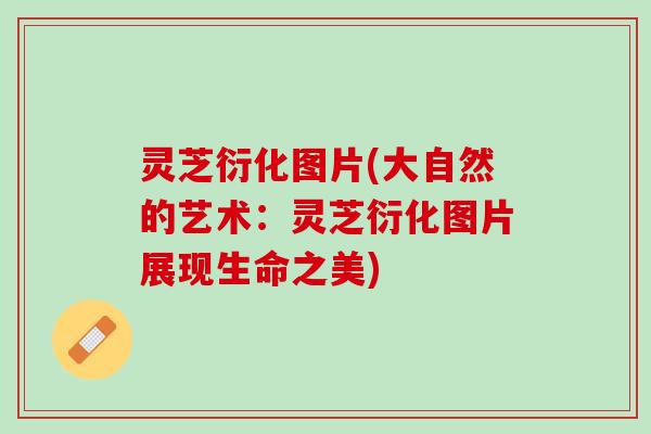 灵芝衍化图片(大自然的艺术：灵芝衍化图片展现生命之美)