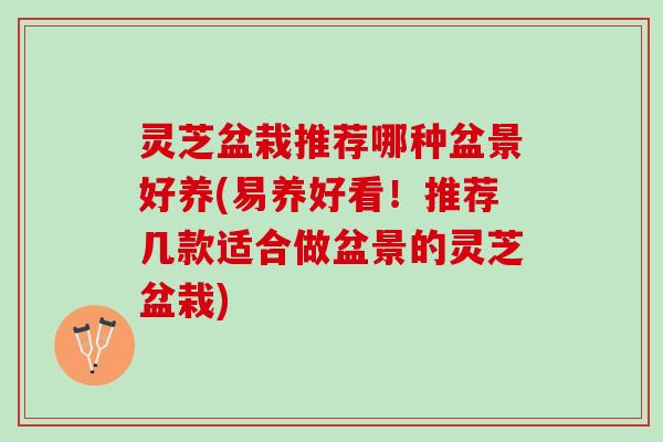 灵芝盆栽推荐哪种盆景好养(易养好看!推荐几款适合做盆景的灵芝盆栽) 灵芝盆栽推荐哪种盆景好养(易养好看!推荐几款适合做盆景的灵芝盆栽)