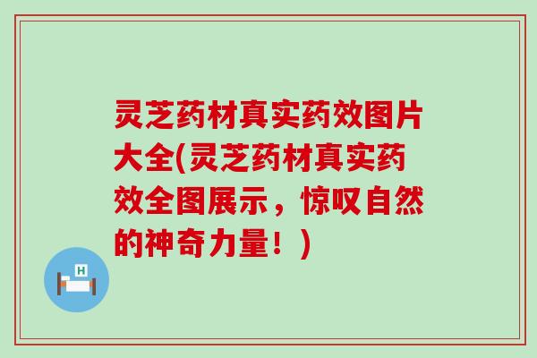 灵芝药材真实药效图片大全(灵芝药材真实药效全图展示，惊叹自然的神奇力量！)