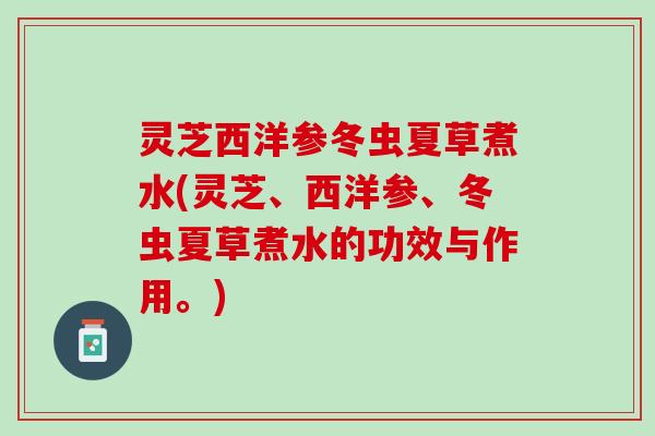 灵芝西洋参冬虫夏草煮水(灵芝、西洋参、冬虫夏草煮水的功效与作用。)