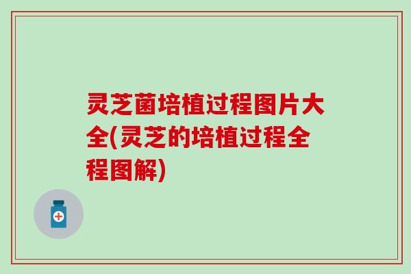 灵芝菌培植过程图片大全(灵芝的培植过程全程图解)