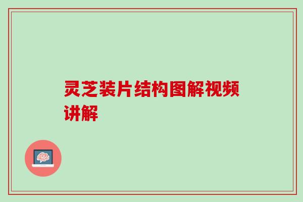 灵芝装片结构图解视频讲解