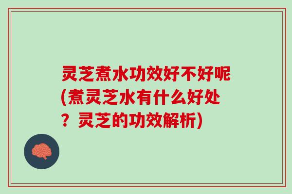 灵芝煮水功效好不好呢(煮灵芝水有什么好处？灵芝的功效解析)