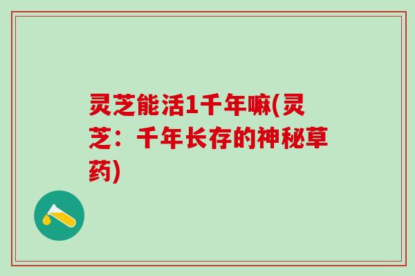 灵芝能活1千年嘛(灵芝：千年长存的神秘草药)