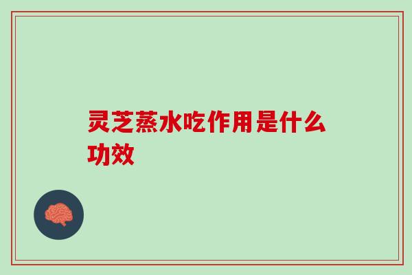 灵芝蒸水吃作用是什么功效