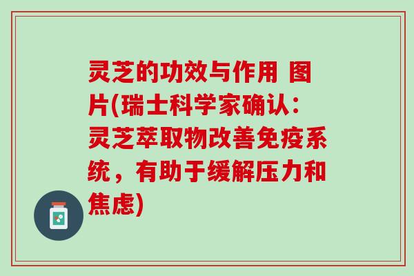 灵芝的功效与作用 图片(瑞士科学家确认：灵芝萃取物改善免疫系统，有助于缓解压力和焦虑)