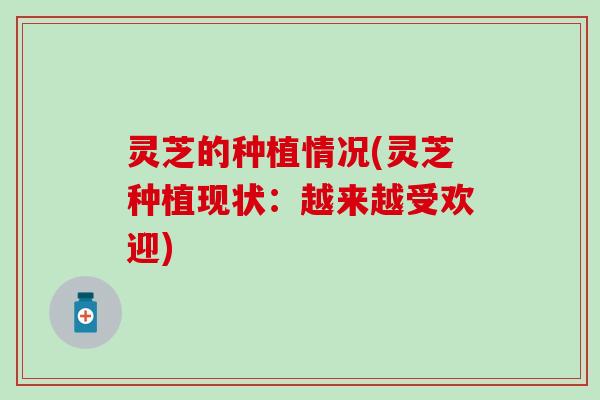 灵芝的种植情况(灵芝种植现状：越来越受欢迎)