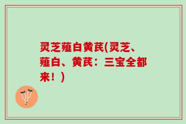 灵芝薤白黄芪(灵芝、薤白、黄芪：三宝全都来！)