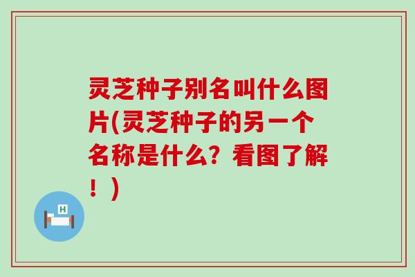 灵芝种子别名叫什么图片(灵芝种子的另一个名称是什么？看图了解！)