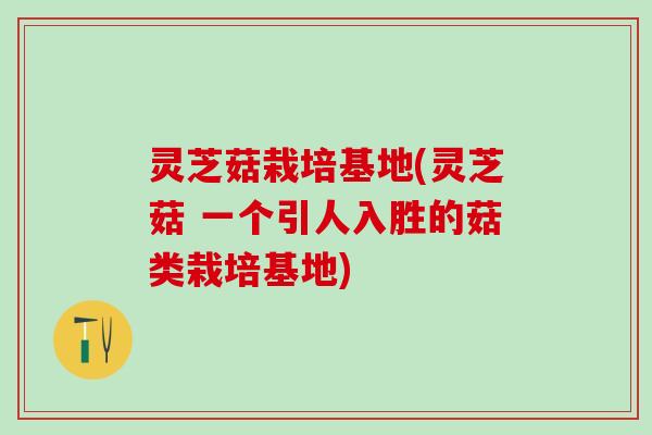 灵芝菇栽培基地(灵芝菇 一个引人入胜的菇类栽培基地)