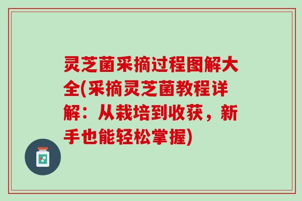 灵芝菌采摘过程图解大全(采摘灵芝菌教程详解：从栽培到收获，新手也能轻松掌握)