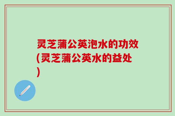 灵芝蒲公英泡水的功效(灵芝蒲公英水的益处)