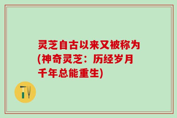 灵芝自古以来又被称为(神奇灵芝：历经岁月千年总能重生)