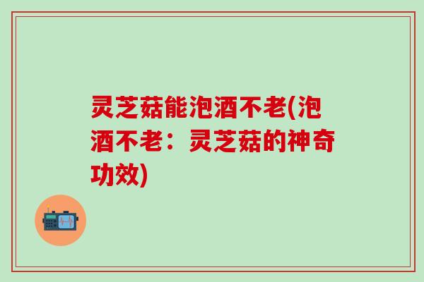灵芝菇能泡酒不老(泡酒不老：灵芝菇的神奇功效)