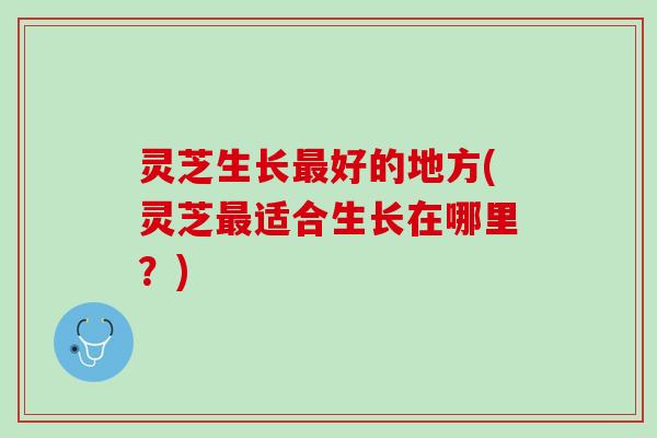 灵芝生长最好的地方(灵芝最适合生长在哪里？)