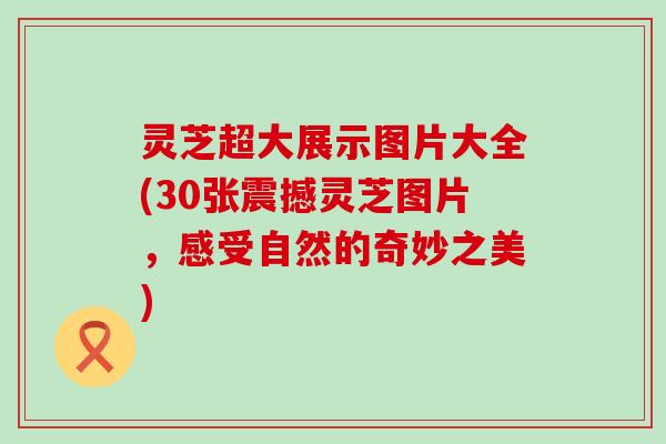 灵芝超大展示图片大全(30张震撼灵芝图片，感受自然的奇妙之美)