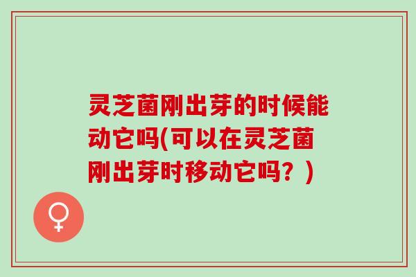 灵芝菌刚出芽的时候能动它吗(可以在灵芝菌刚出芽时移动它吗？)