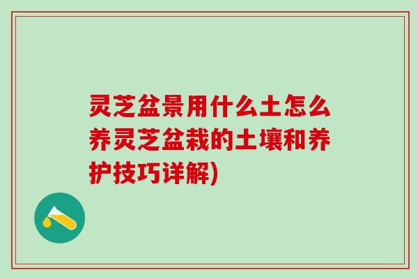 灵芝盆景用什么土怎么养灵芝盆栽的土壤和养护技巧详解)