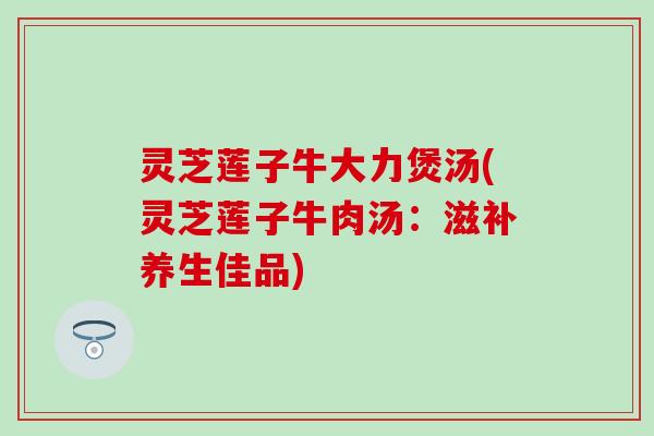 灵芝莲子牛大力煲汤(灵芝莲子牛肉汤：滋补养生佳品)