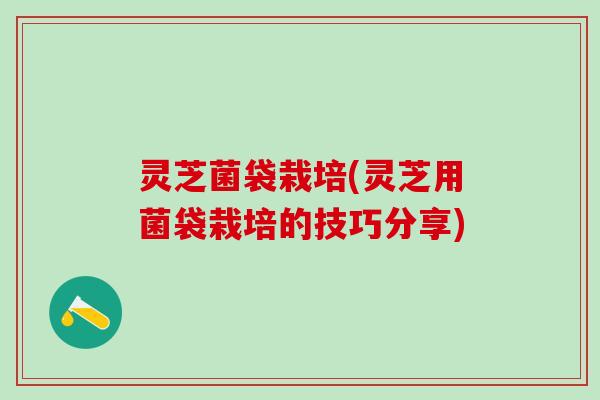 灵芝菌袋栽培(灵芝用菌袋栽培的技巧分享)