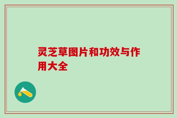灵芝草图片和功效与作用大全