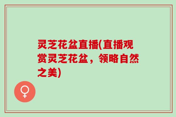 灵芝花盆直播(直播观赏灵芝花盆，领略自然之美)