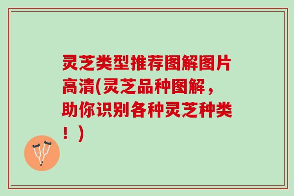 灵芝类型推荐图解图片高清(灵芝品种图解，助你识别各种灵芝种类！)