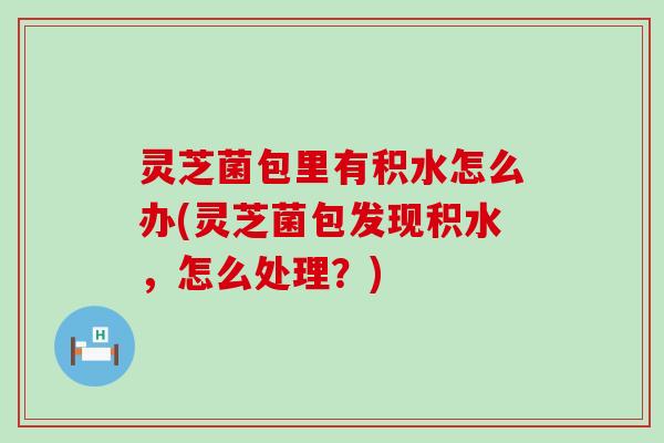 灵芝菌包里有积水怎么办(灵芝菌包发现积水，怎么处理？)