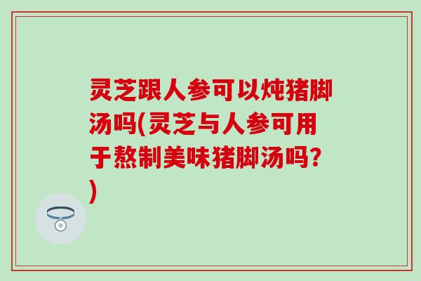 灵芝跟人参可以炖猪脚汤吗(灵芝与人参可用于熬制美味猪脚汤吗？)