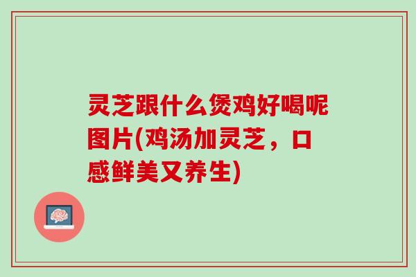 灵芝跟什么煲鸡好喝呢图片(鸡汤加灵芝，口感鲜美又养生)