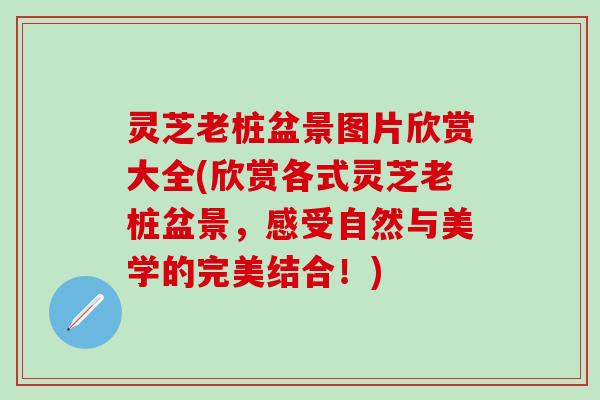 灵芝老桩盆景图片欣赏大全(欣赏各式灵芝老桩盆景，感受自然与美学的完美结合！)