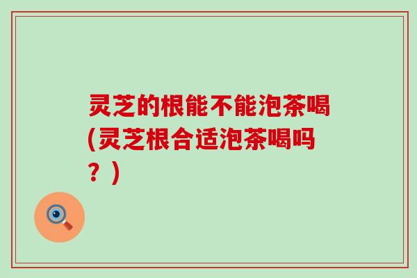 灵芝的根能不能泡茶喝(灵芝根合适泡茶喝吗?) 灵芝的根能不能泡茶喝(灵芝根合适泡茶喝吗?)
