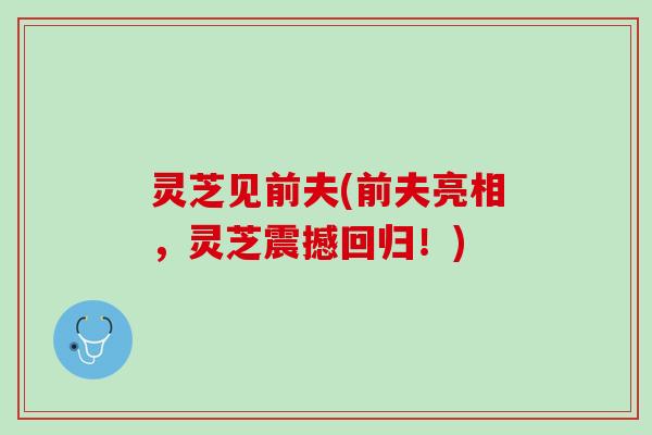 灵芝见前夫(前夫亮相，灵芝震撼回归！)