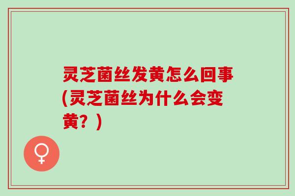 灵芝菌丝发黄怎么回事(灵芝菌丝为什么会变黄？)